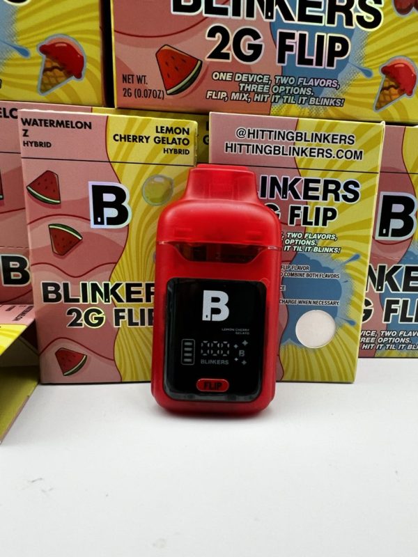 blinkers 2g flip