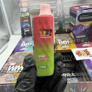 whole melts dual chamber phase 3 disposable