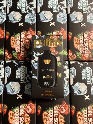 puffin 2g dual disposable