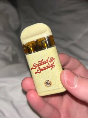 locked and loaded disposable