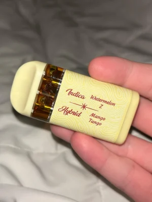 locked and loaded disposable