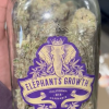 elephants growth weed