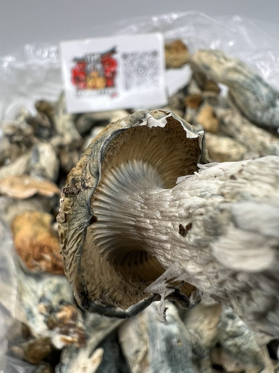 makilla gorilla mushroom