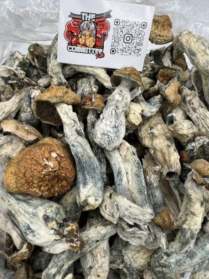 makilla gorilla mushroom