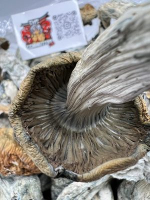 makilla gorilla mushrooms