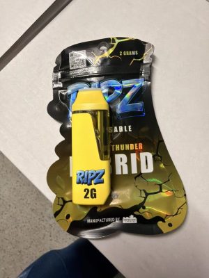 ripz 2g disposable​