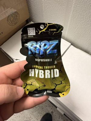 ripz 2g disposable​