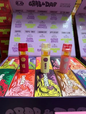 grab and dab dual 2g disposable