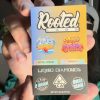 ROOTED LABS 2G DUAL DISPOSABLE