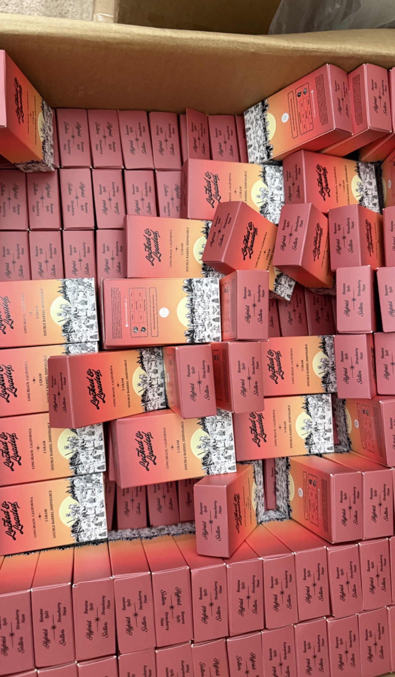 locked and loaded disposable