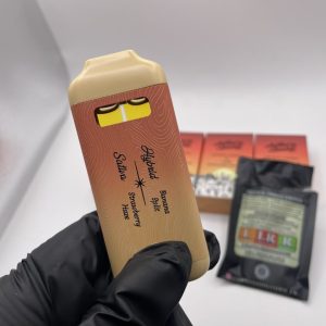 locked and loaded disposable​