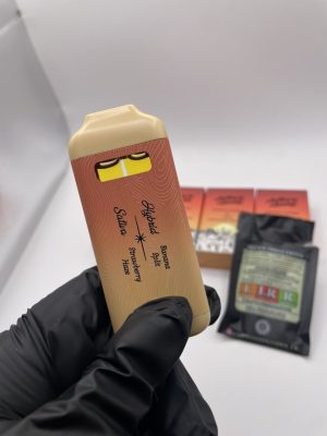 locked and loaded disposable