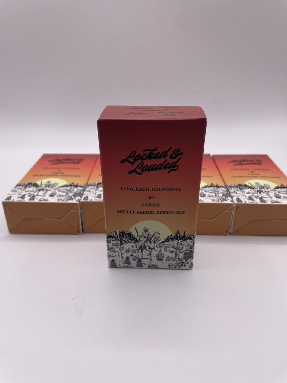 locked and loaded disposable