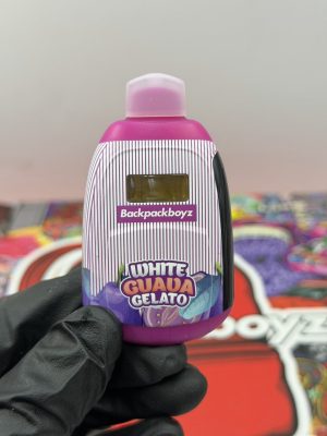 backpack boyz 2g disposable with pre roll